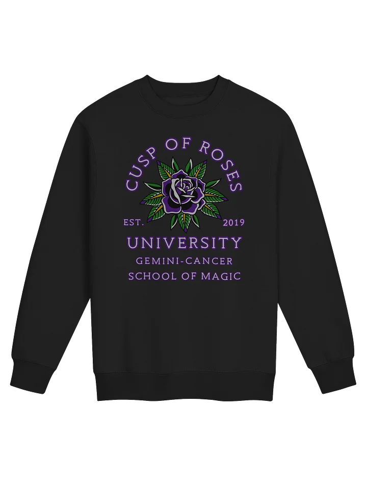 school of magic sweatie product image (1)