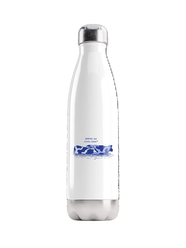 Stainless Steel Watter Bottle