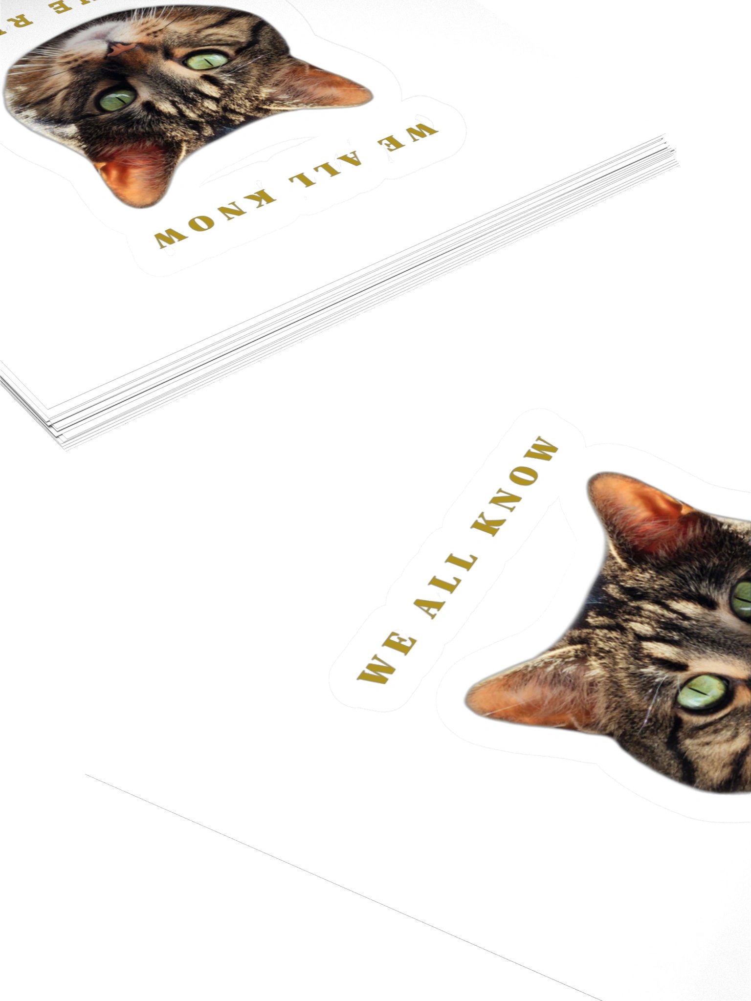 The Real Streamer Sticker product image (4)