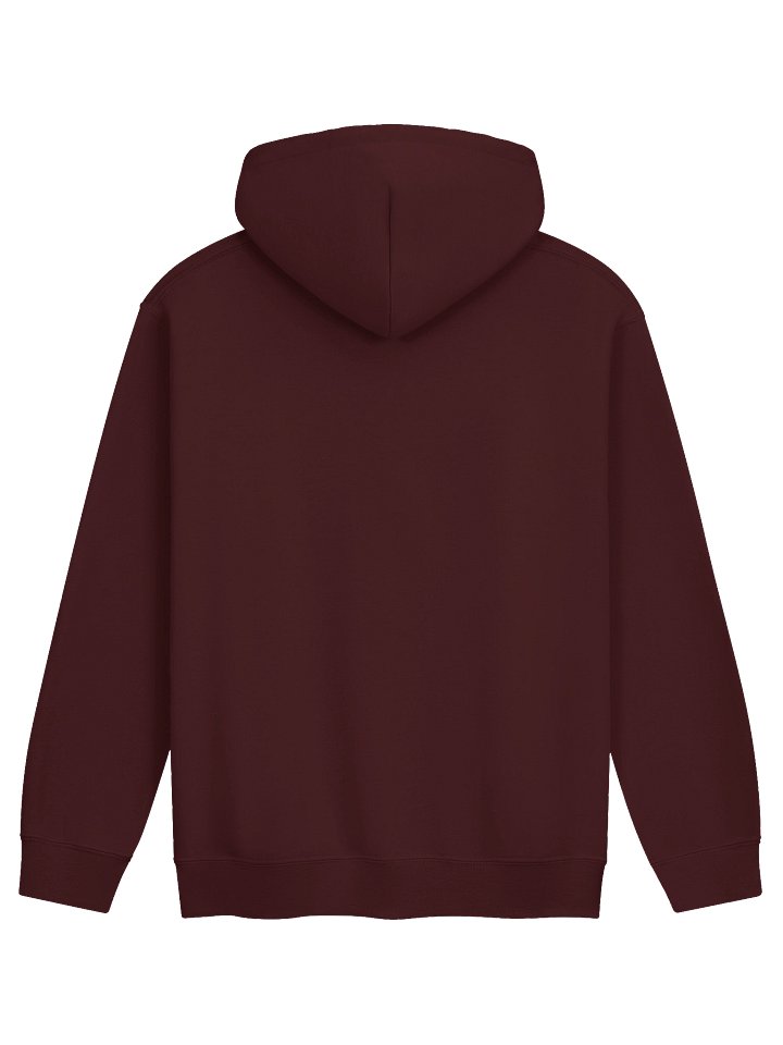 Turtleboy was Right Patriot - Unisex Classic Hoodie product image (2)