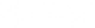 Henrique Ferreira