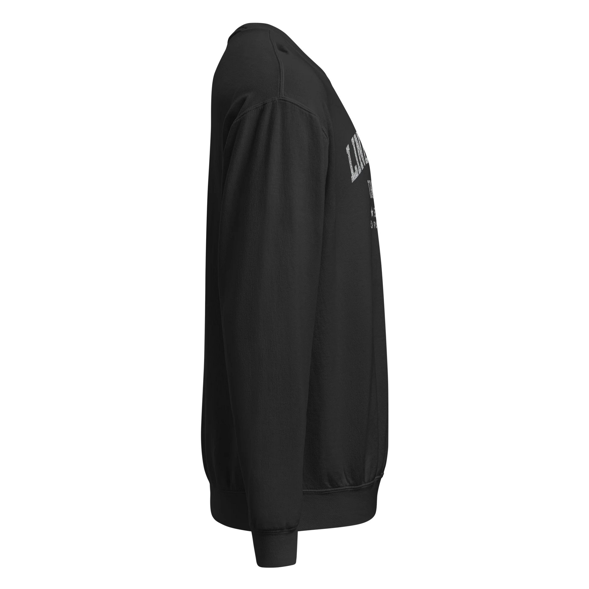 Liner Notes University Sweatshirt product image (4)