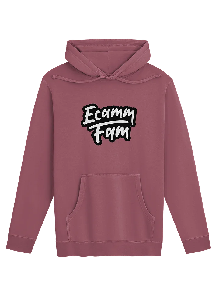 Ecamm Fam Vintage Hoodie product image (9)