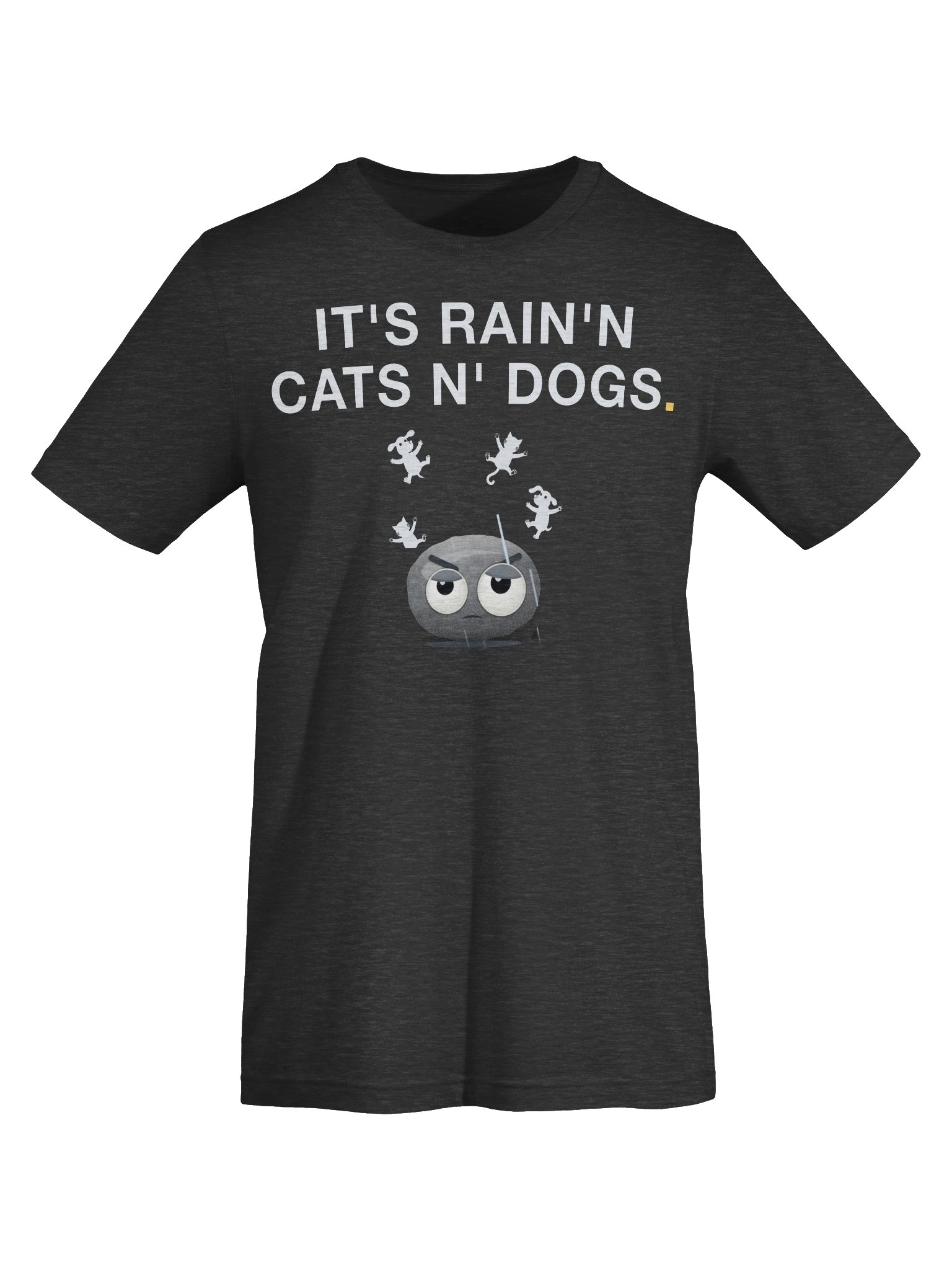 It's Rain'n Cats N' Dogs! T-Shirt product image (5)