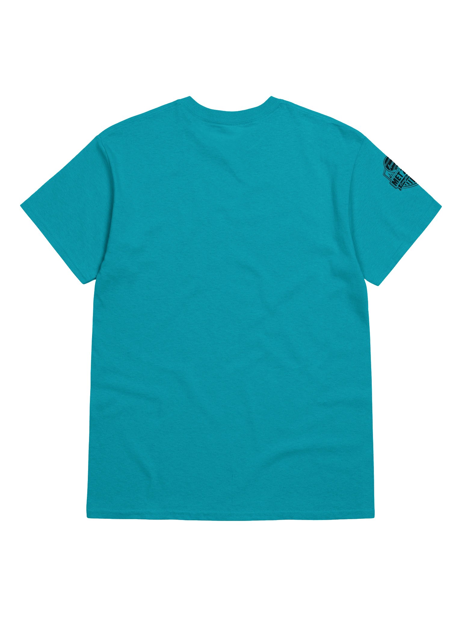"Ready For Spring Training" T-Shirt product image (17)