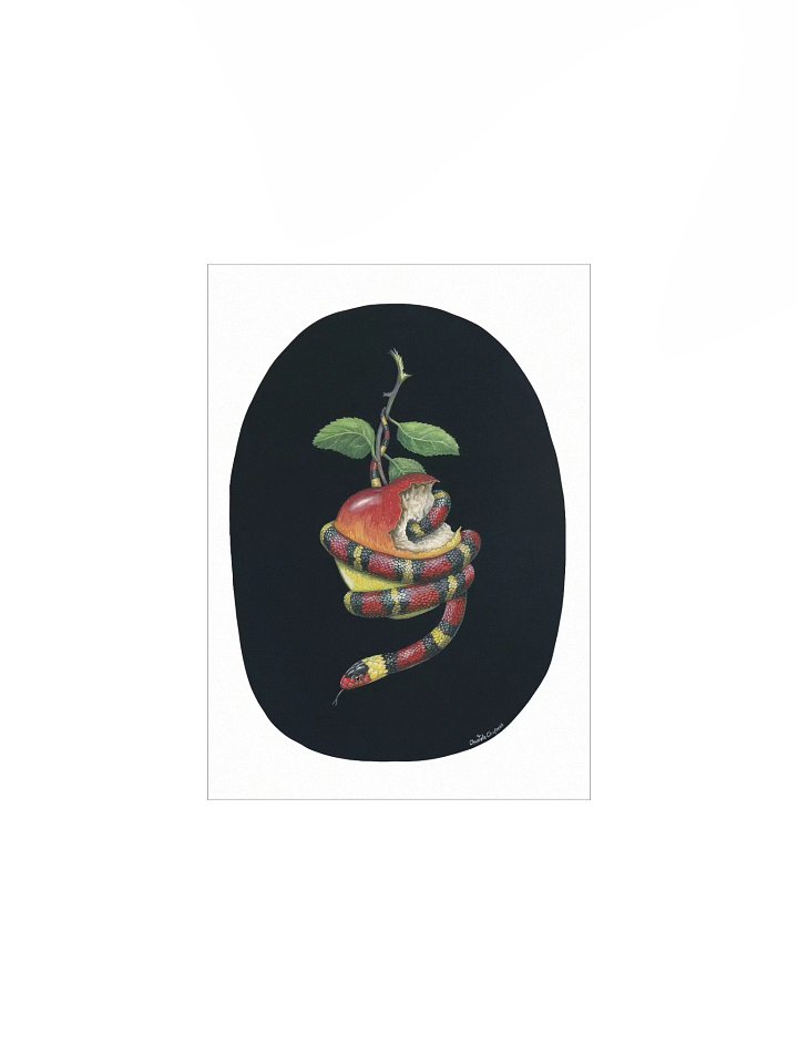 They'll Tell You It's Dangerous (Scarlet Kingsnake) - Art Print product image (2)