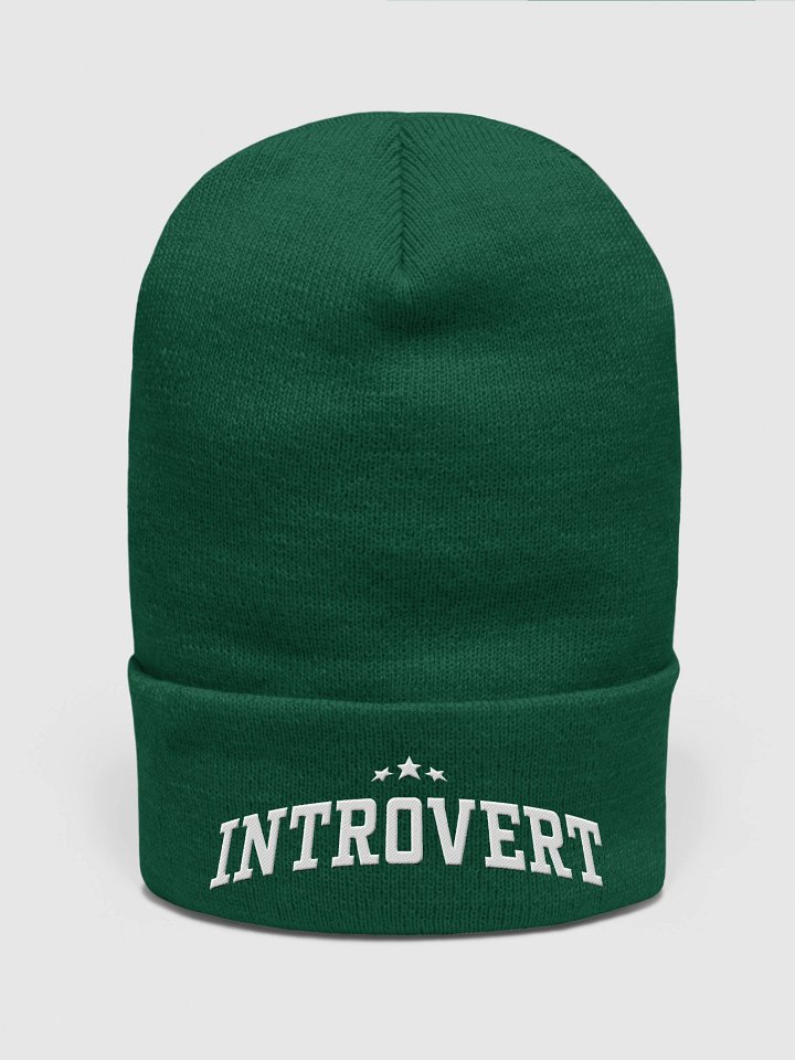 Introvert (Yupoong Cuffed Beanie) product image (36)