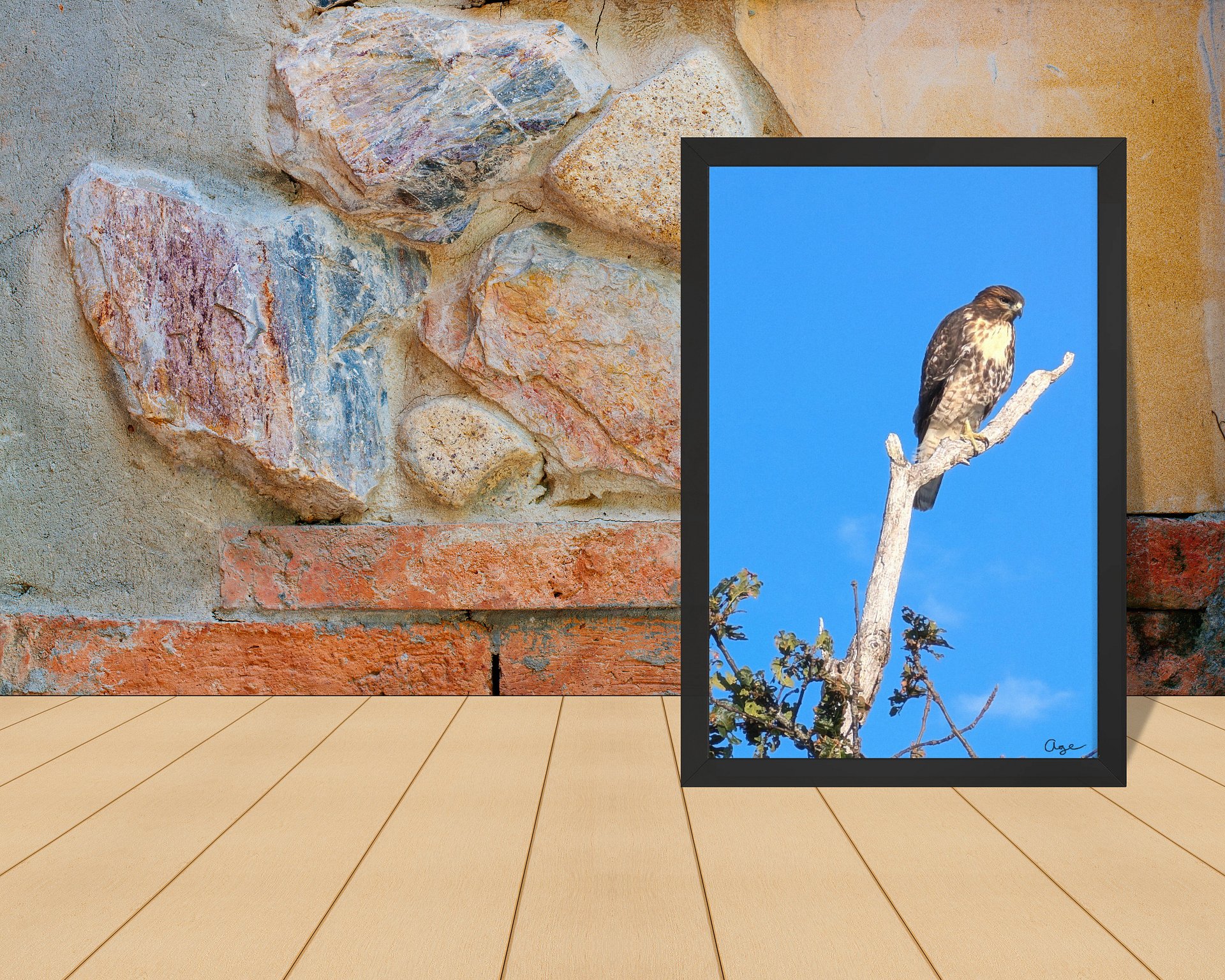 The Sentinel product image (2)
