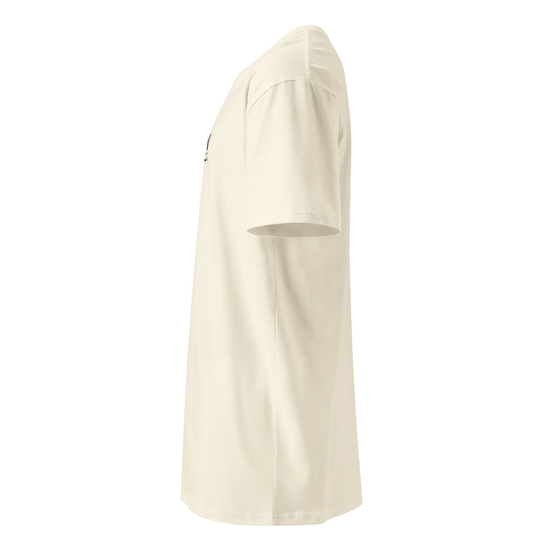 iFLY PREMIUM TEE product image (3)