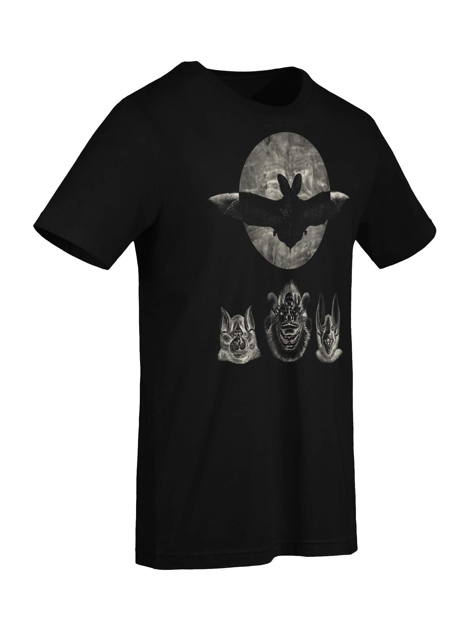 Bats and Moon – Haeckel T-Shirt product image (7)