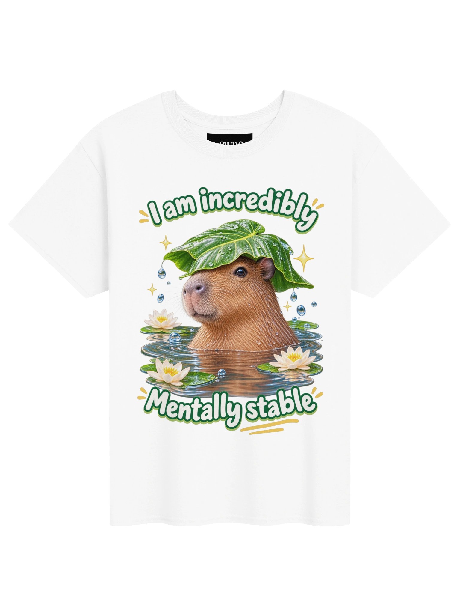 Incredibly mentally stable capybara product image (31)