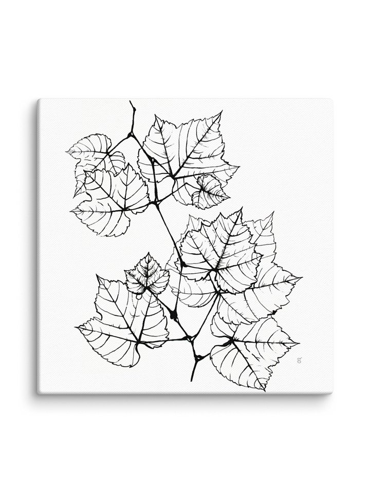 Blank Canvas: Unleash Your Artistic Vision - Grape Leaves Elegant product image (2)