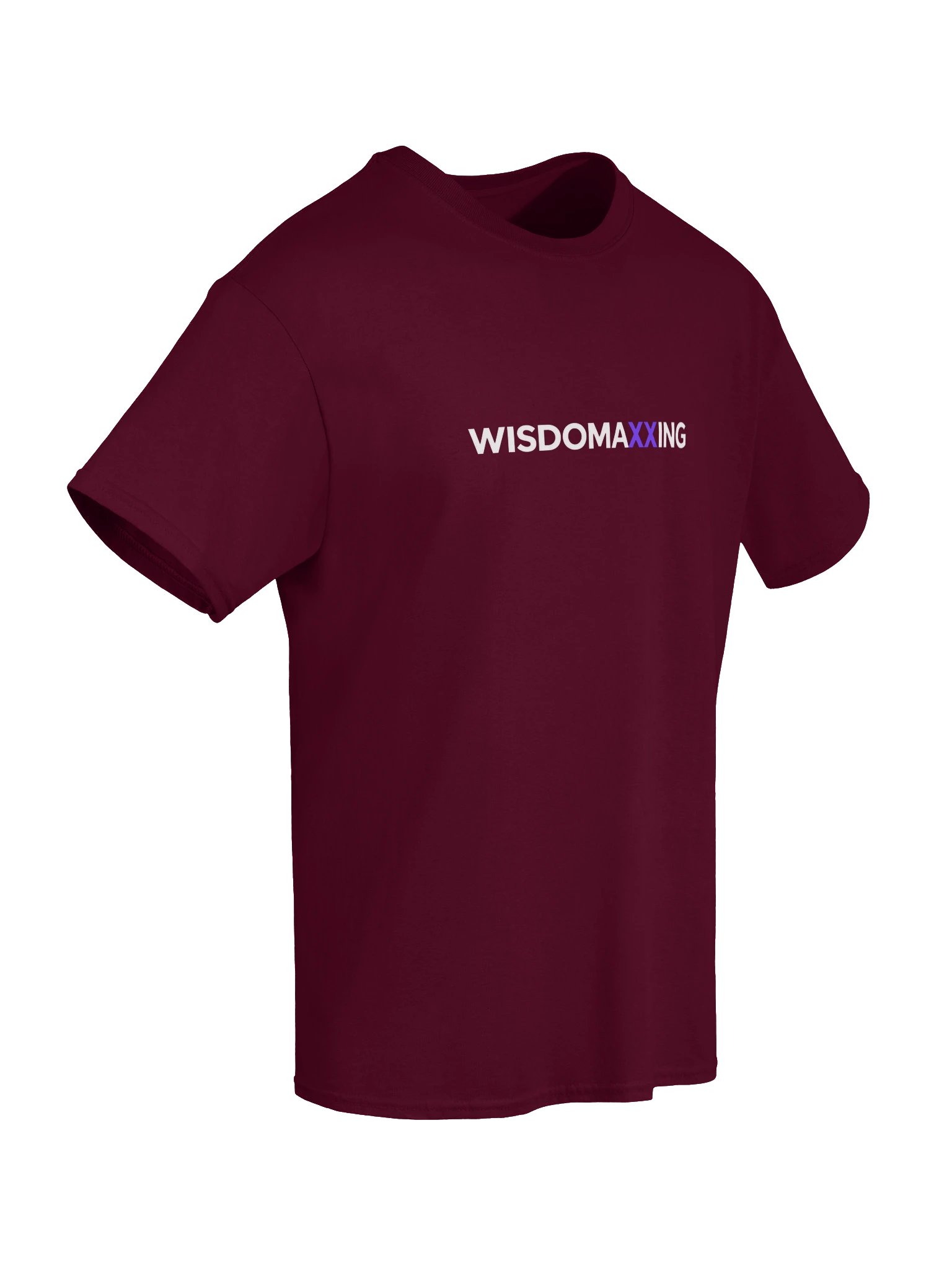 Hivekind WISDOMAXXING Gildan Heavyweight T-Shirt product image (6)