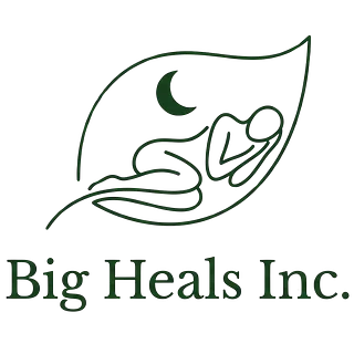 Big Heals Inc. | Minimalist Apparel for the Chronically Offline