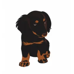 Bowie I Elon's First Dog | SpaceX Dog
