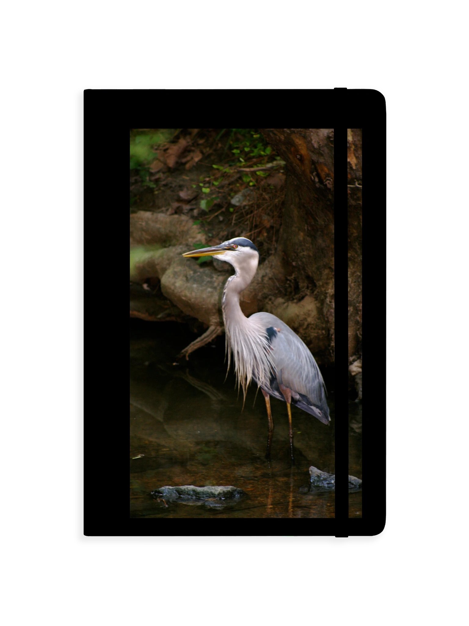 Graceful Blue Heron Hardcover Journal product image (1)