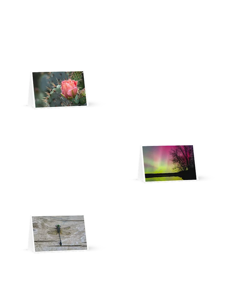 Nature Blank Greeting Cards 3 Pack product image (1)