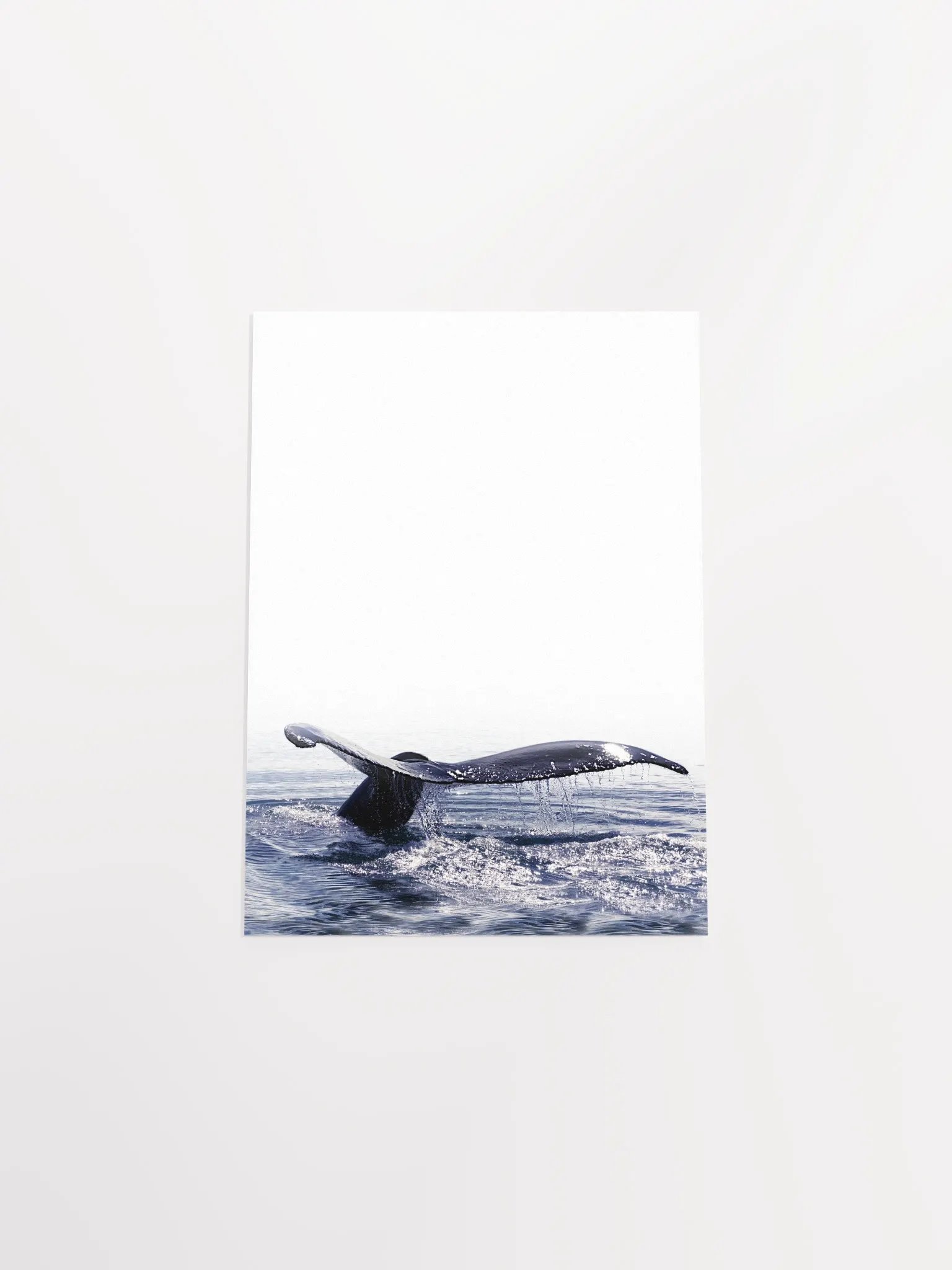 Whale Tail Dive Poster product image (55)
