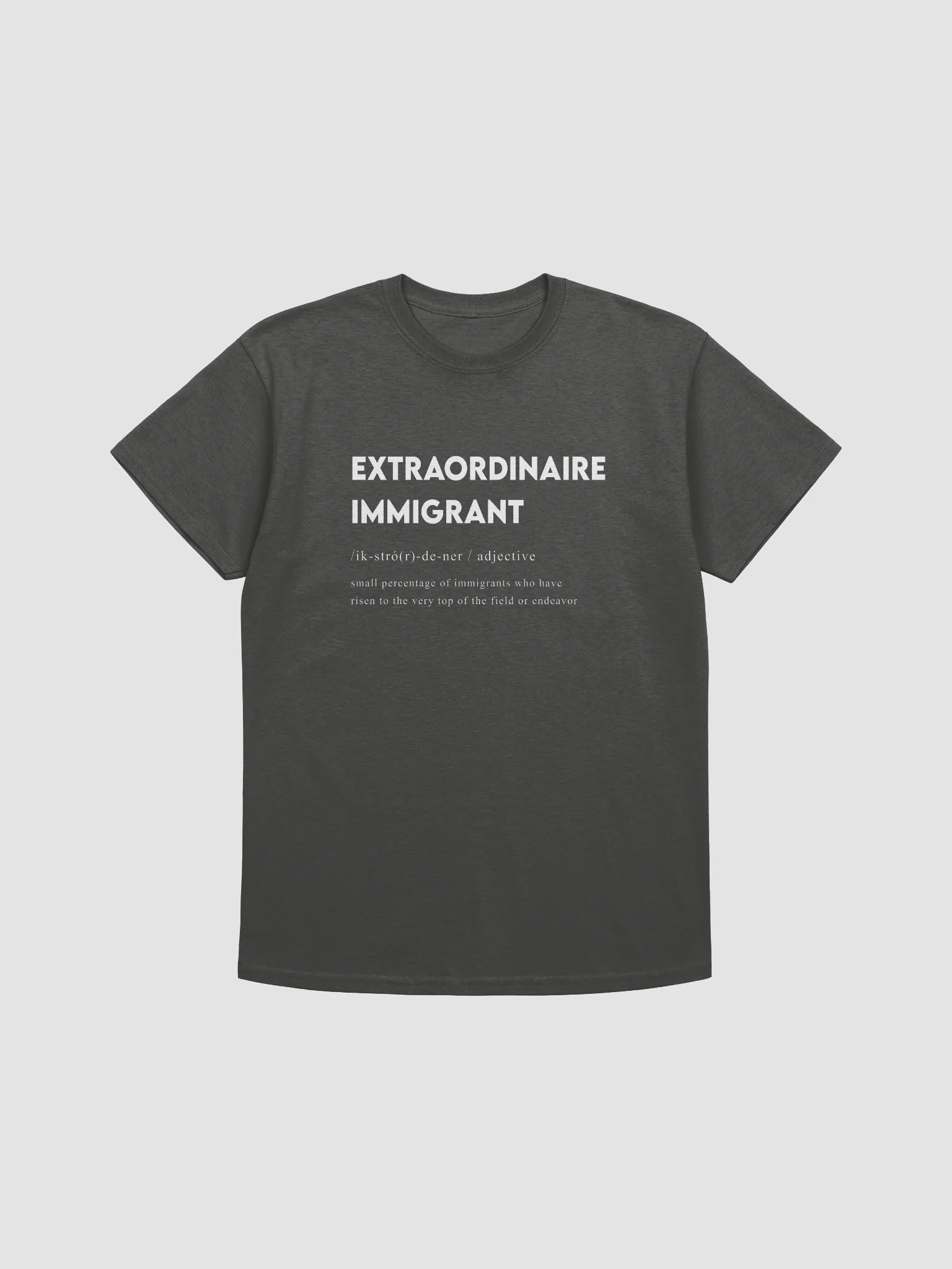 EXTRAORDINAIRE IMMIGRANT TSHIRT CHARCOL product image (1)
