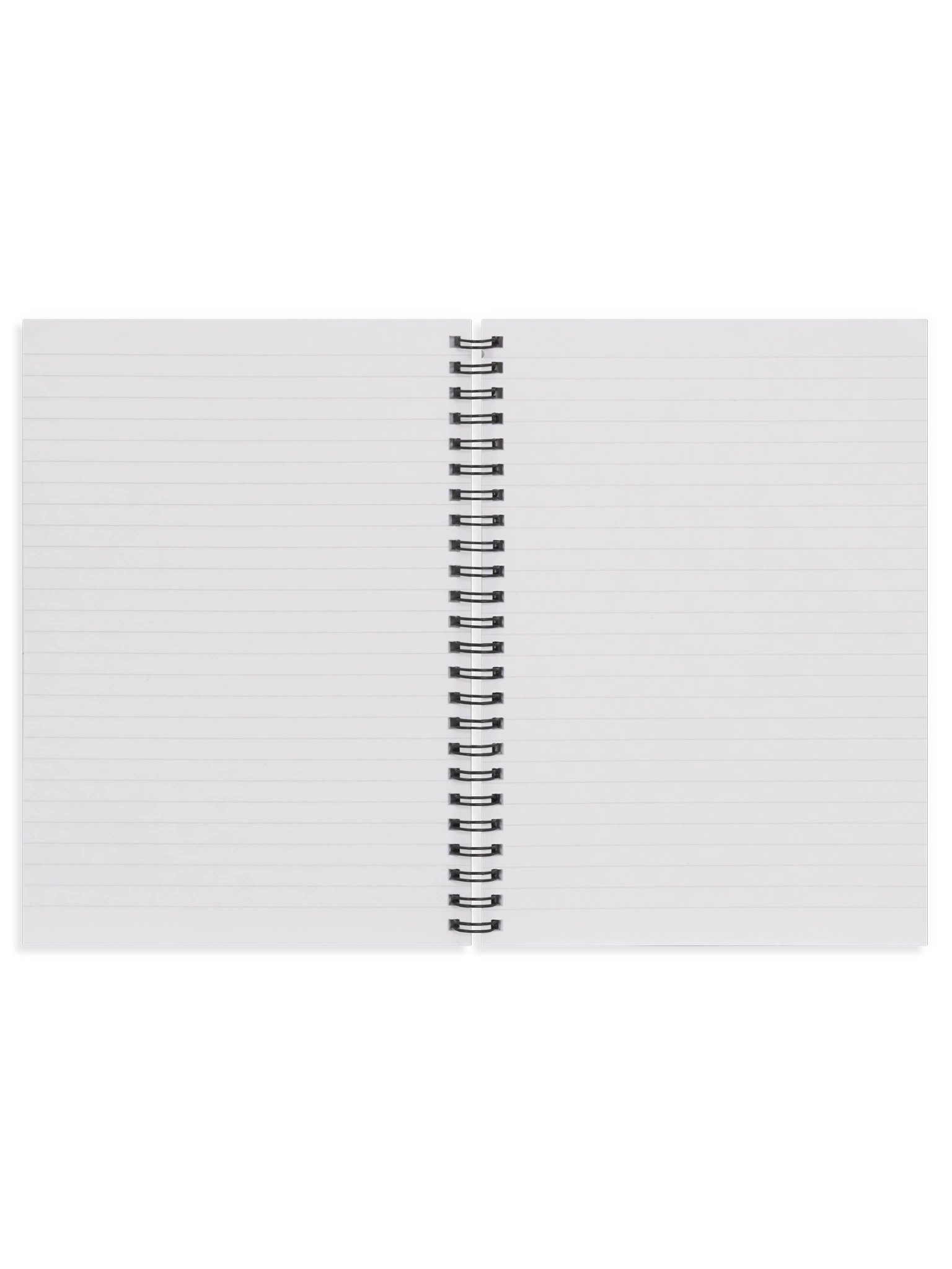 Ludwig Klages Spiral Bound Notebook product image (4)
