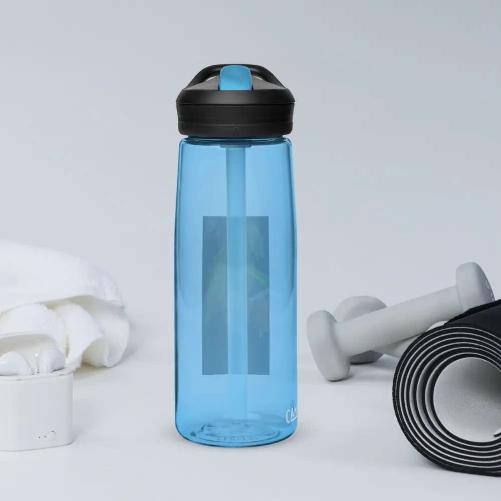 Dino bottle product image (11)