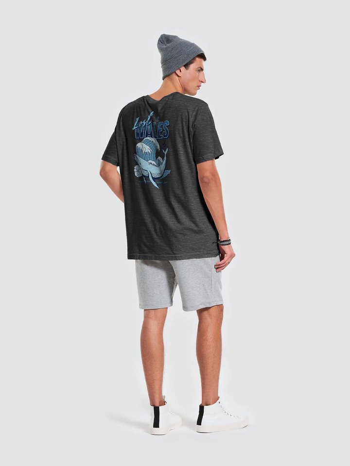 Lost in Wales product image (2)