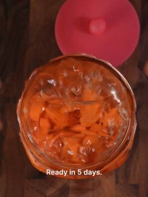 If you think fermenting is complicated, this one's here to prove you wrong. Carrots, salt, water, that's genuinely it. Two percent salt to water, pack the jar, pour the brine, lid on, and it sits about 5 days. No starter, nothing to buy, and it's great for your gut. Send this to someone who keeps saying they'll try fermenting one day. Full system linked in my bio. #fermentation #fermentedcarrots #guthealth #easyferments #brinelab #dishbydavid