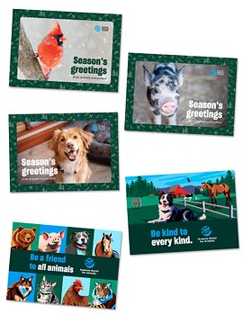 Holiday and Greeting card bundle