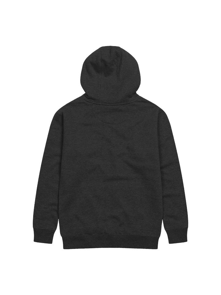 Eejanaika - Embroidered Hoodie product image (7)