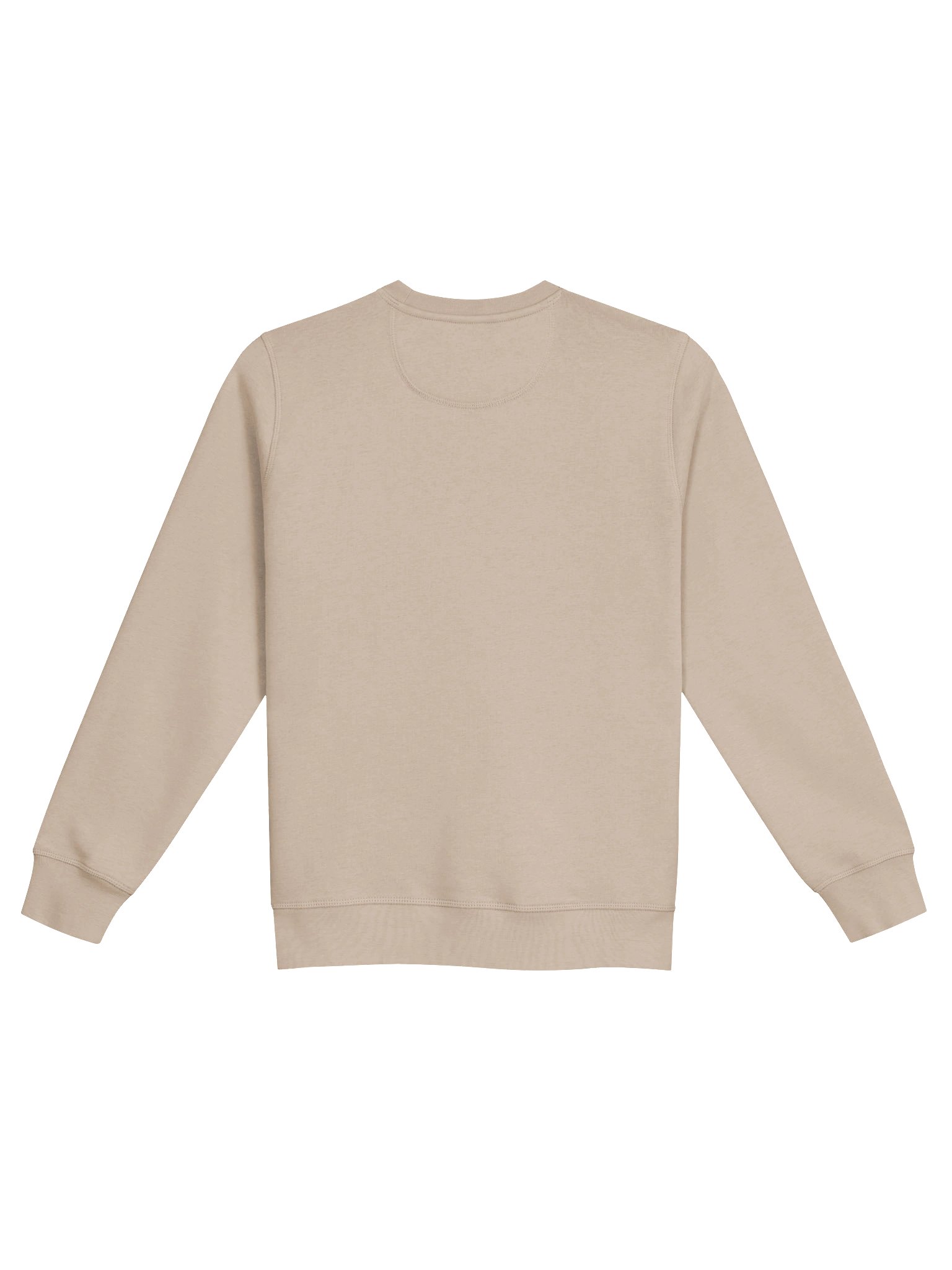 Sunny Plant Pot Cartoon Unisex Sweatshirt product image (6)