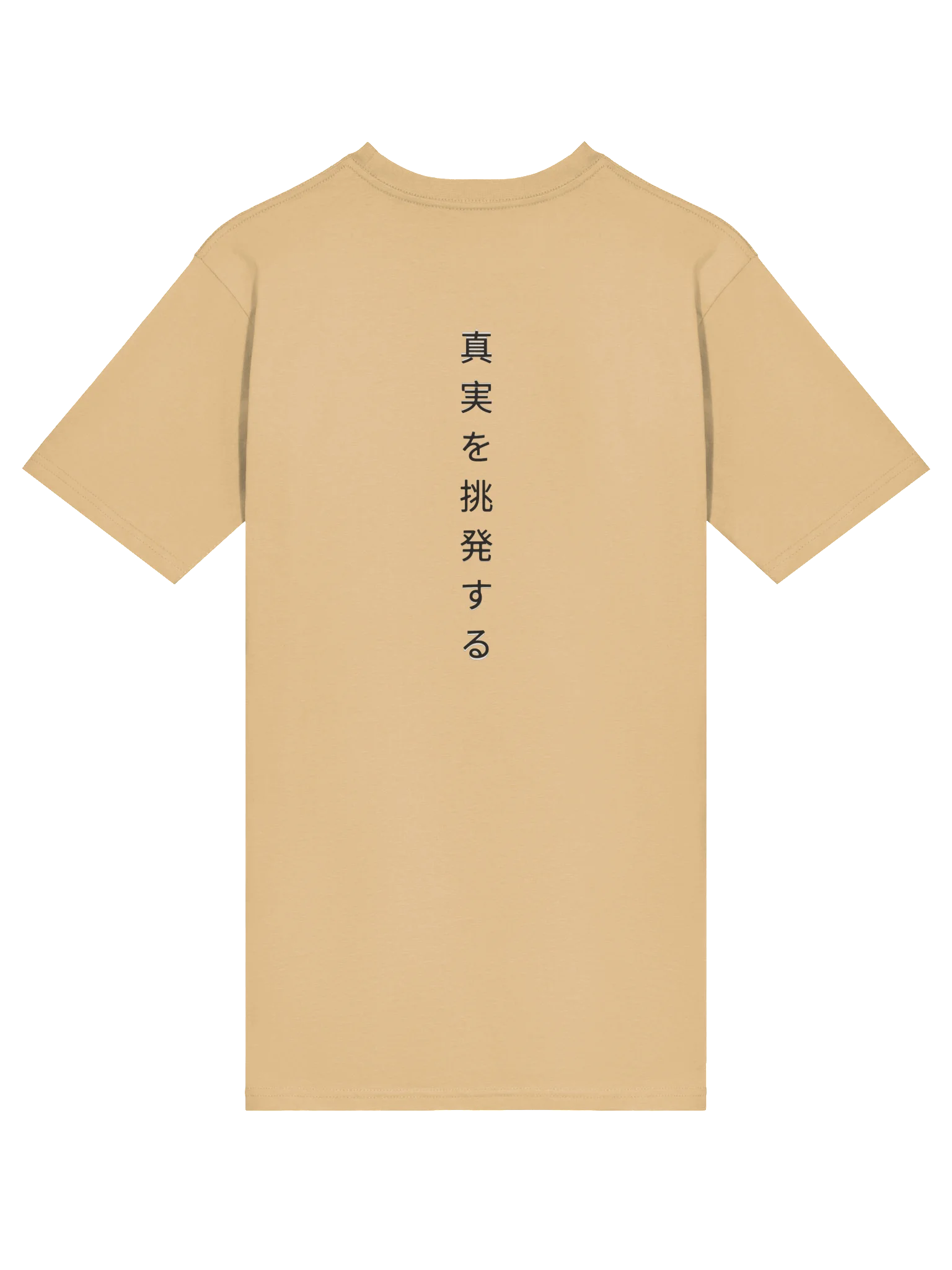 PTT Japanese T- Shirt (Golden Cassette) product image (4)