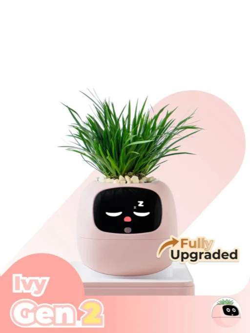 Stilzone Ivy Gen 2 product image (2)