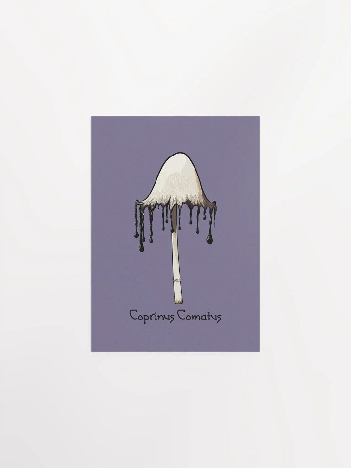 Inky Cap Mushroom Botanical Poster Print product image (5)