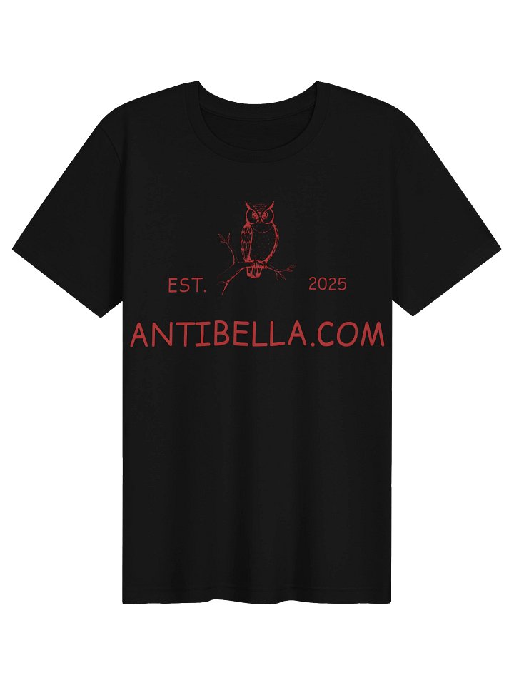 Antibella Owl EST. 2025 Tee product image (1)
