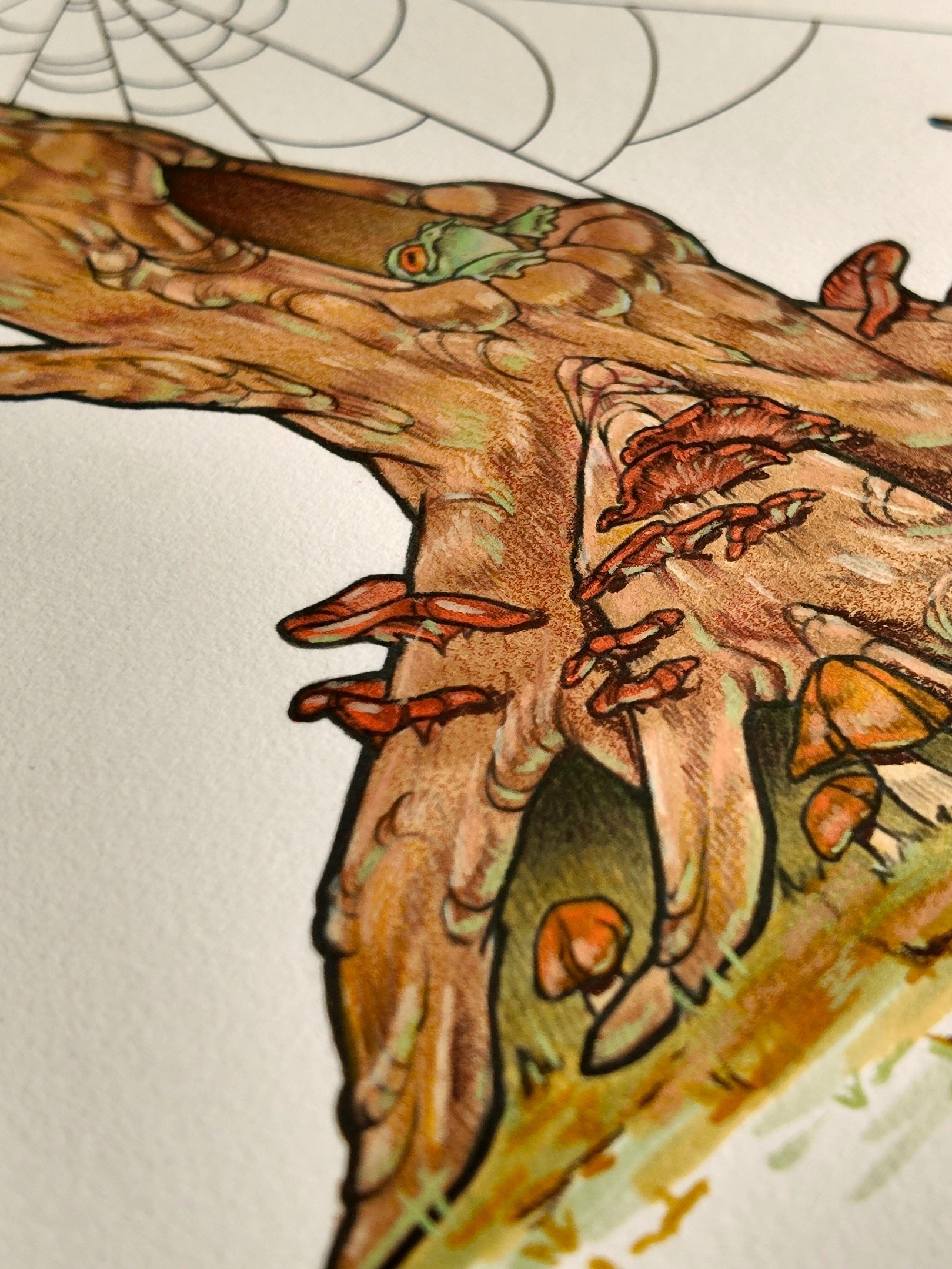 Hand Coloured Toad in the Hole Print product image (4)