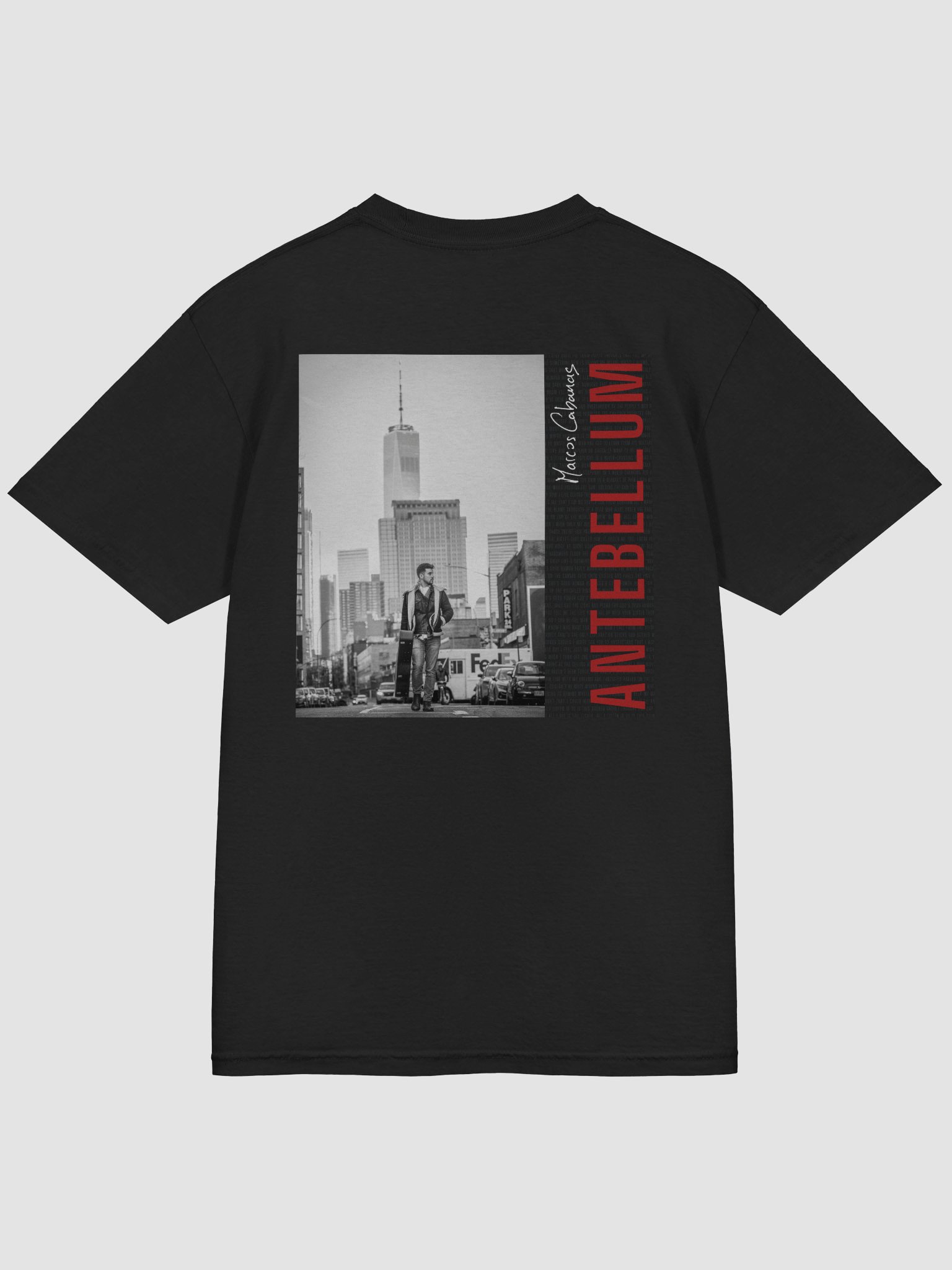 ANTEBELLUM TEE product image (4)