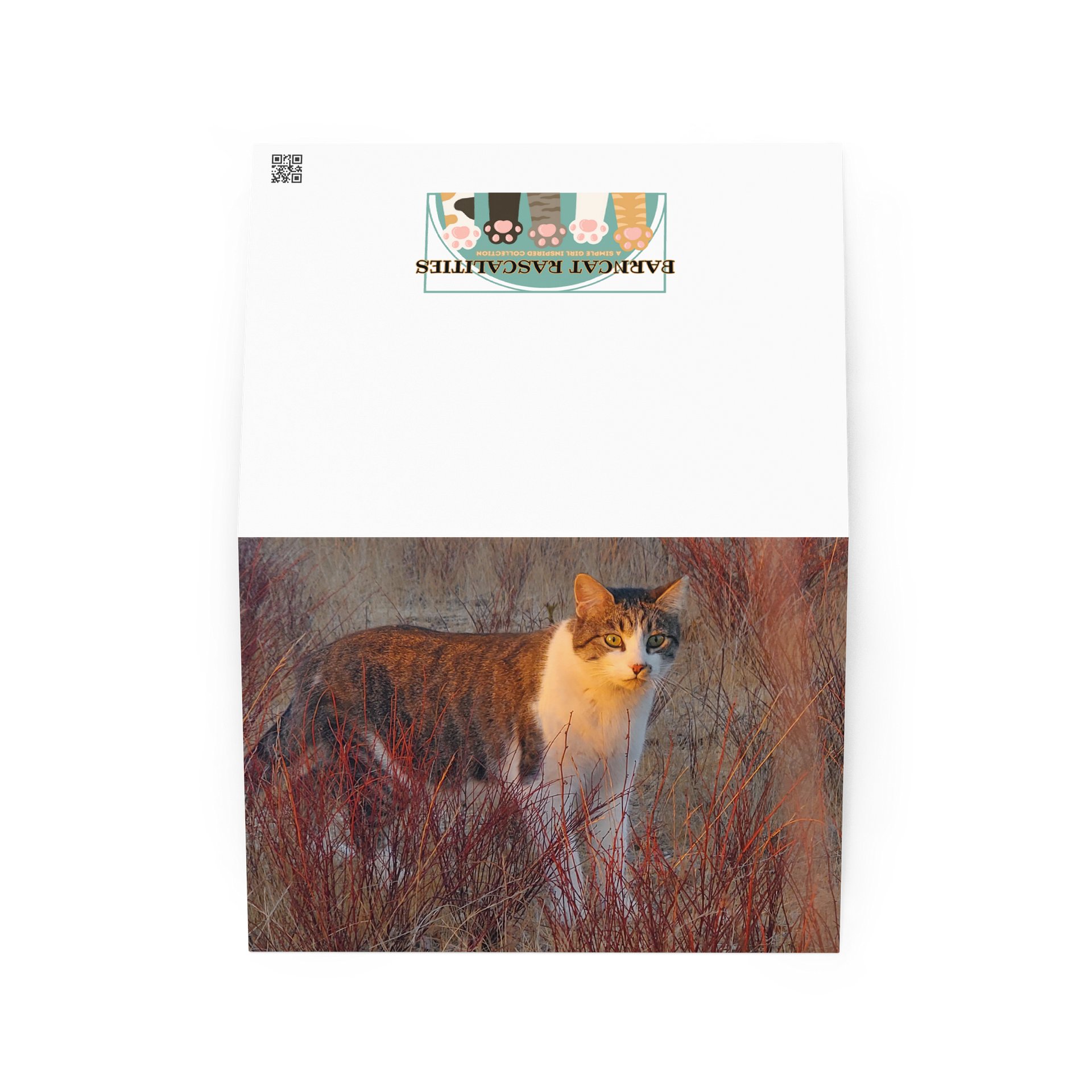 Sunset Banjo Greetings product image (2)