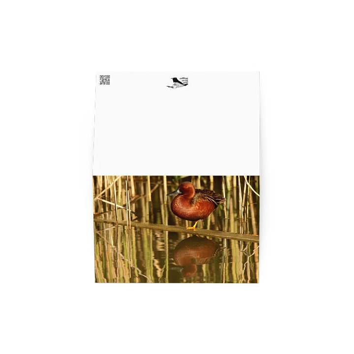 Drake Cinnamon Teal Greeting Card product image (2)