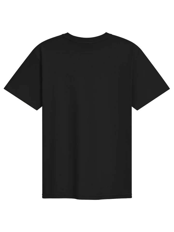 Damanhour T-Shirt (Heavyweight Fabric) product image (2)