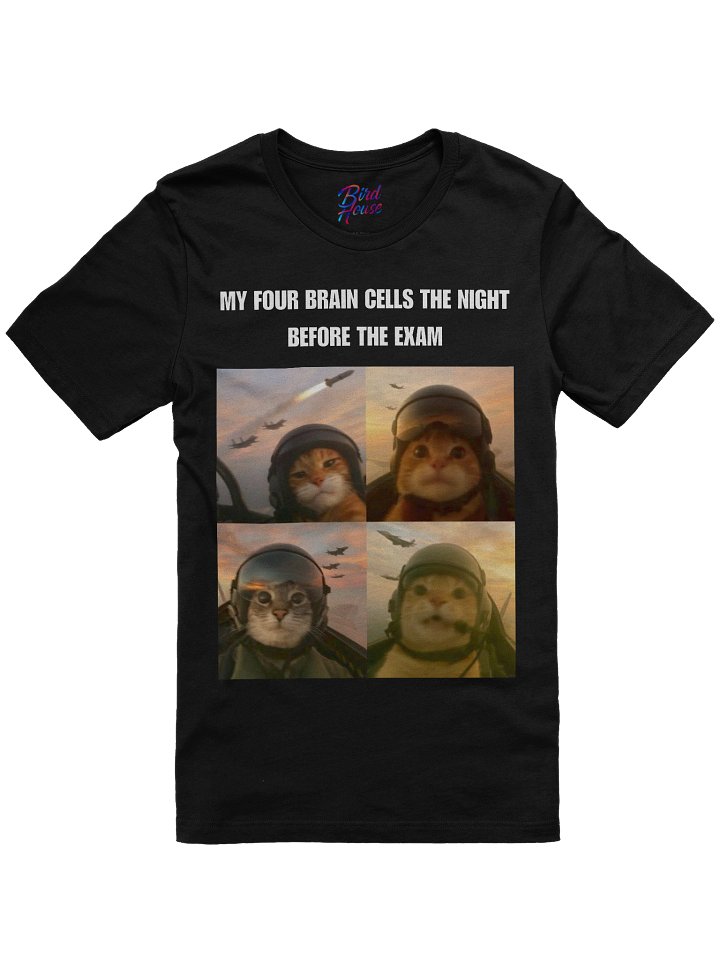 POV: My Four Brain Cells the Night Before the Exam T-Shirt product image (1)