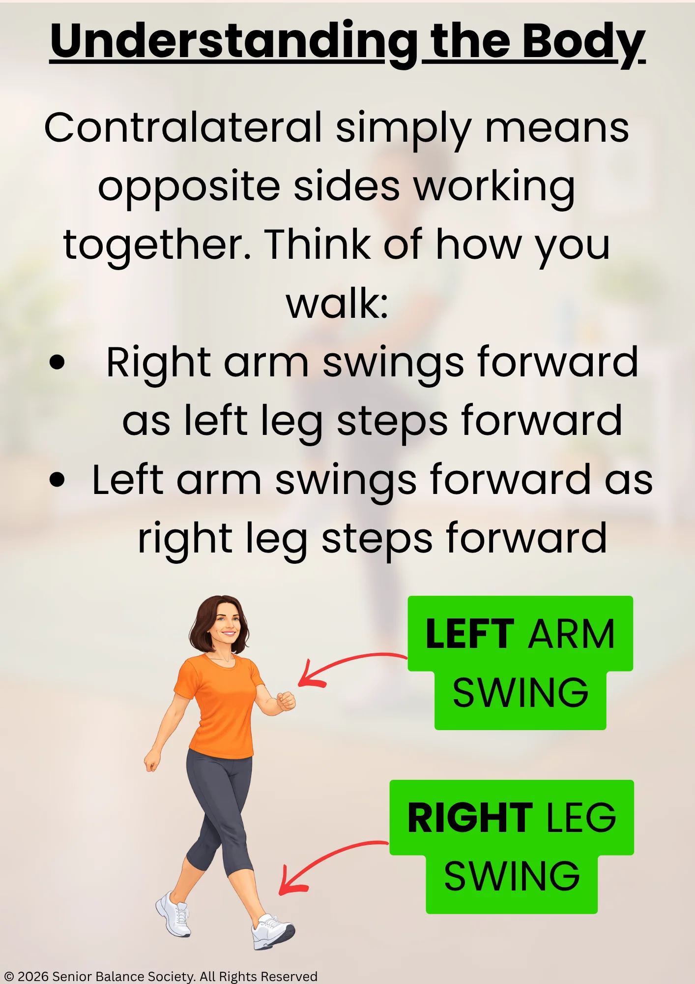 Advanced Balance: Peak Performance product image (3)