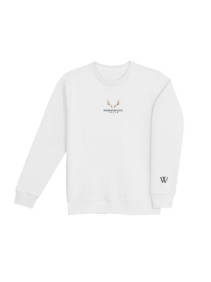 Winter Souls Antler Quote Sweater product image (2)