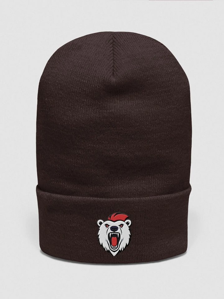 Polarifix Beanie product image (5)