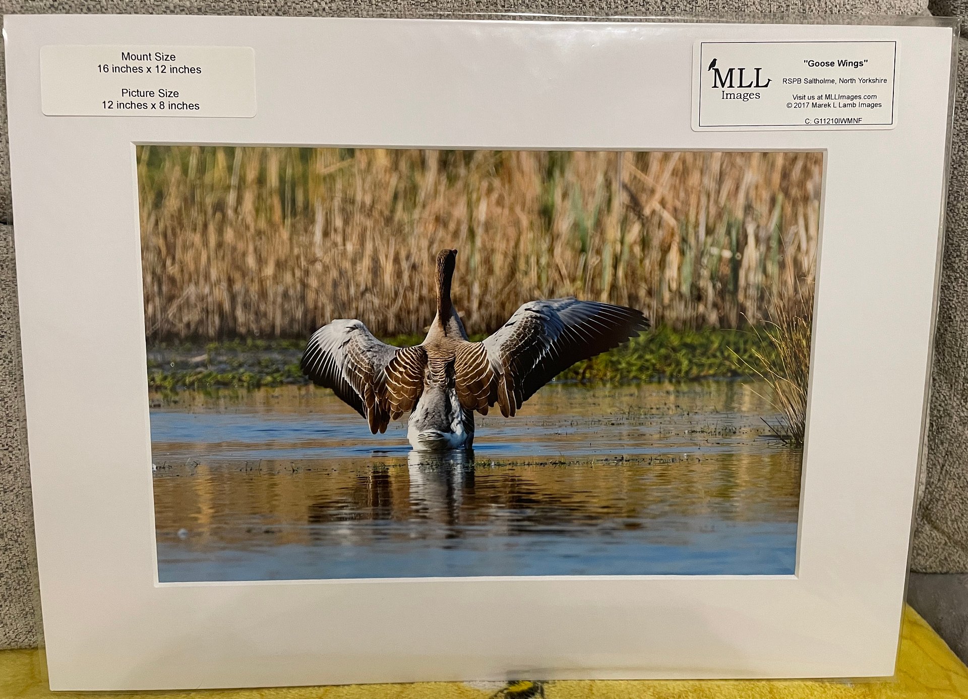 Goose Print product image (1)