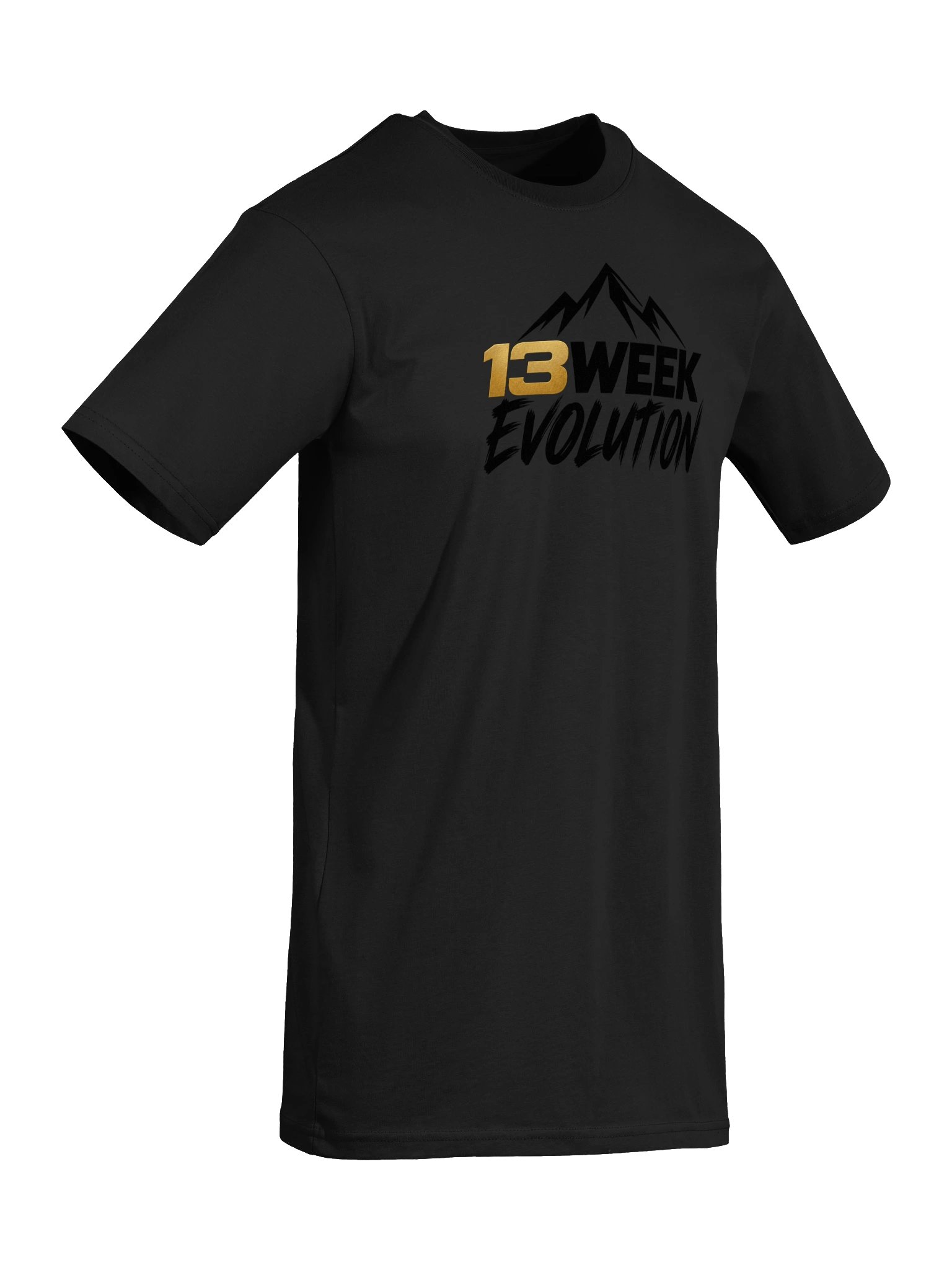 13WE Premium Stealth Tee product image (21)