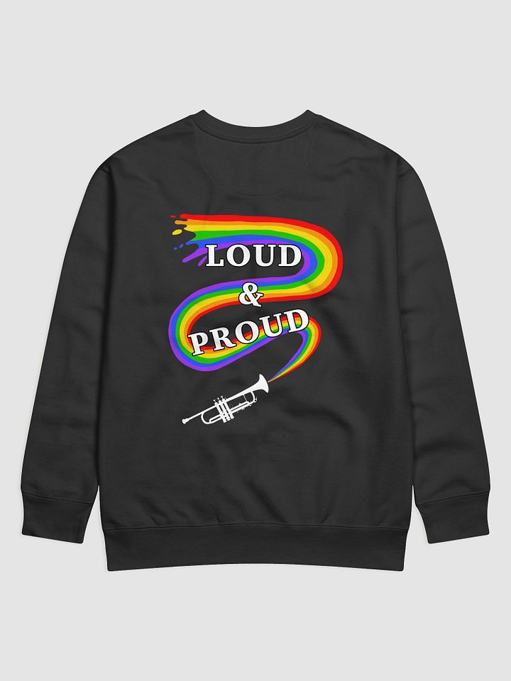 Beehive Rainbow Band Loud and Proud Sweater product image (6)