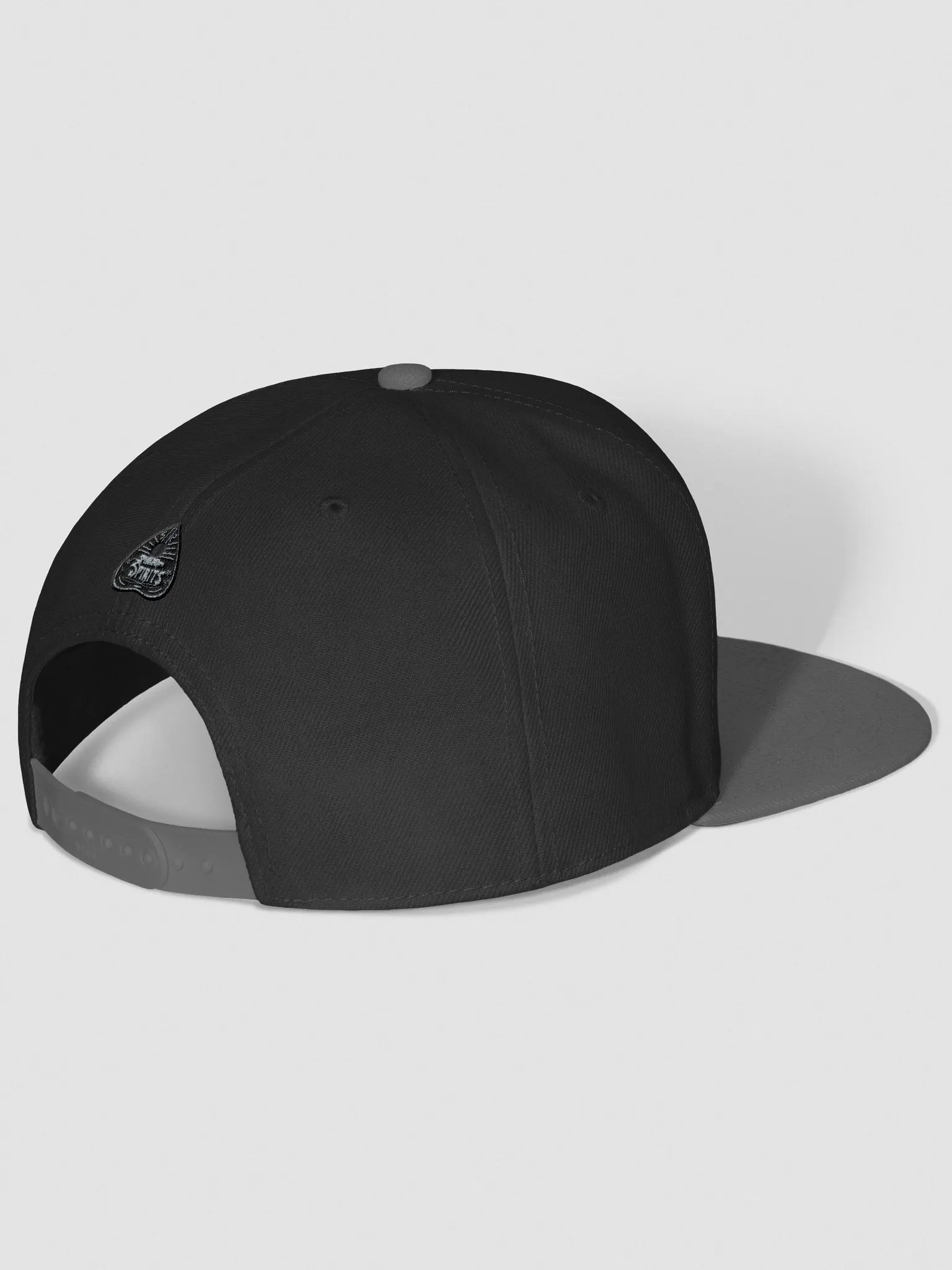 SWS Snapback! product image (3)