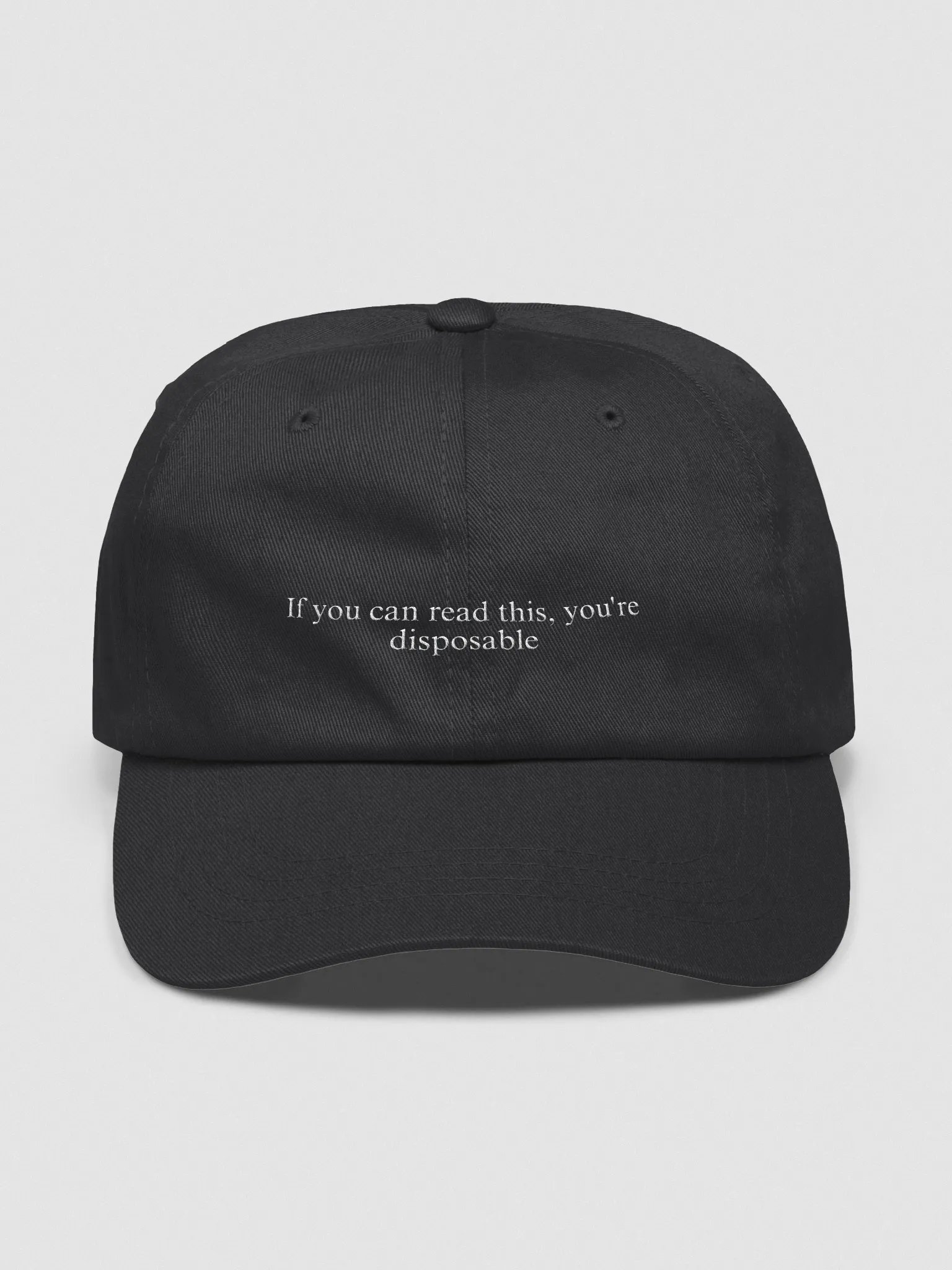 Disposable Statement Classic Dad Hat product image (3)