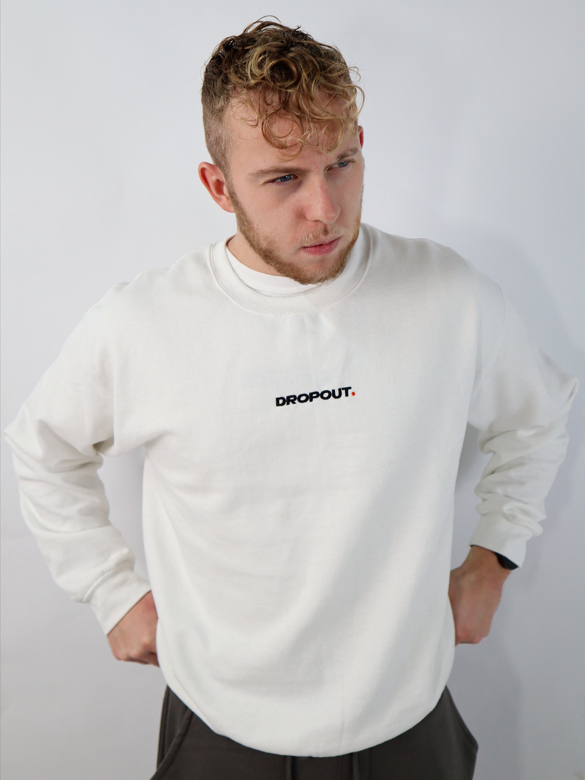 DROPOUTS: REBOOTED SWEATSHIRT (White) product image (4)