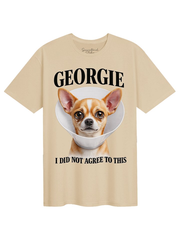 Georgie™ – "I Did Not Agree to This" Vet Visit Tee product image (3)